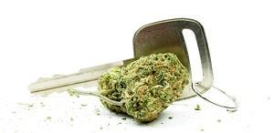 marijuana, DUI, Illinois Criminal Defense Attorney